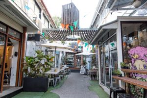 Attractions in Brisbane